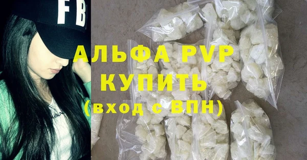 PSILOCYBIN Белокуриха