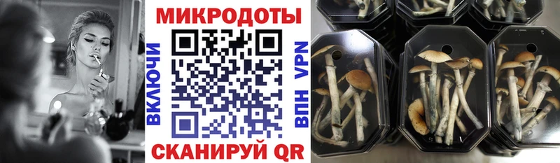 Псилоцибиновые грибы GOLDEN TEACHER  Сегежа 